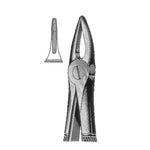 Extracting Forceps 29, Upper Root and Incisors Forceps