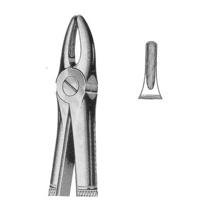 Extraction Forceps 2,  Upper Lateral and Biscuspids Forceps